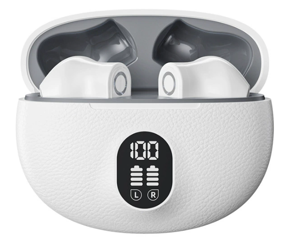 Earbuds Icon